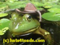 /home//u458753944/public_html/sourcegallery//Frogs/More bullfrogs/P7251200.JPG